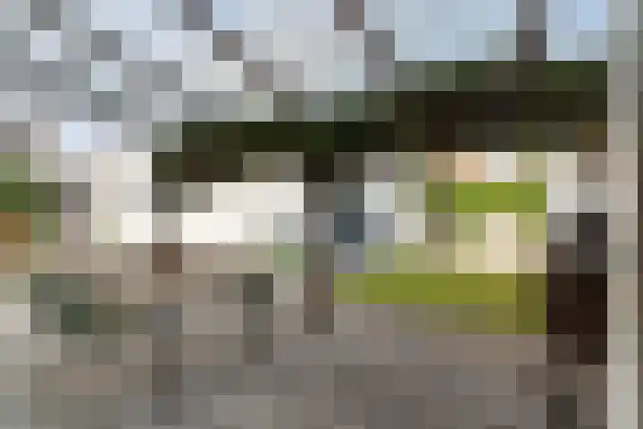 Eekhoornstraat 31 Breda thumbnail 34