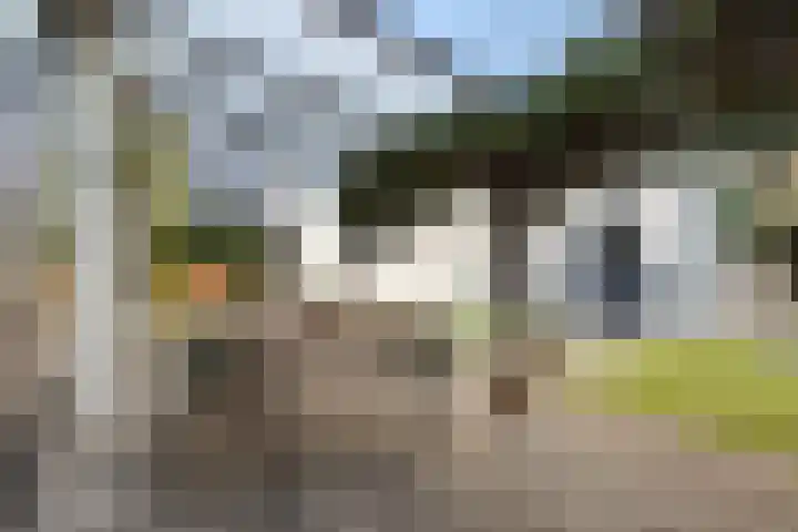 Eekhoornstraat 31 Breda thumbnail 35
