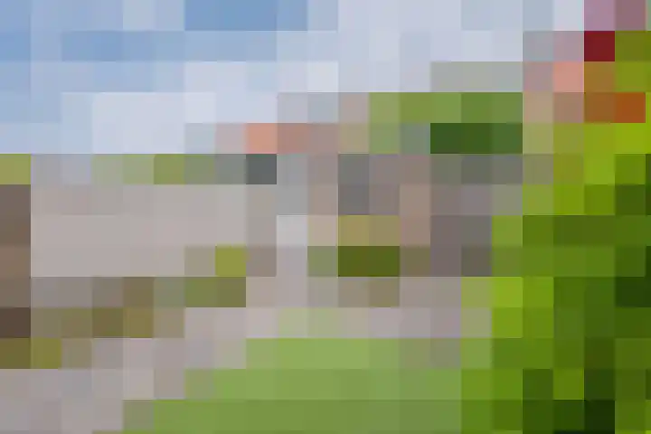 Eekhoornstraat 36 Hilversum thumbnail 17