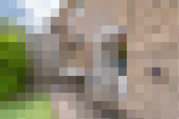 Eekhoornstraat 36 Hilversum thumbnail 19