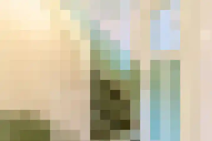 Eekhoornstraat 36 Hilversum thumbnail 39