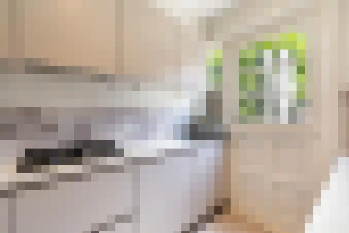 Eekhoornstraat 4 Hilversum thumbnail 13
