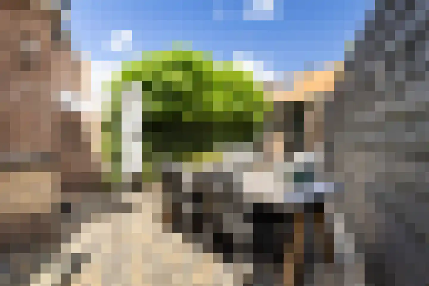 Eekhoornstraat 4 Hilversum thumbnail 16