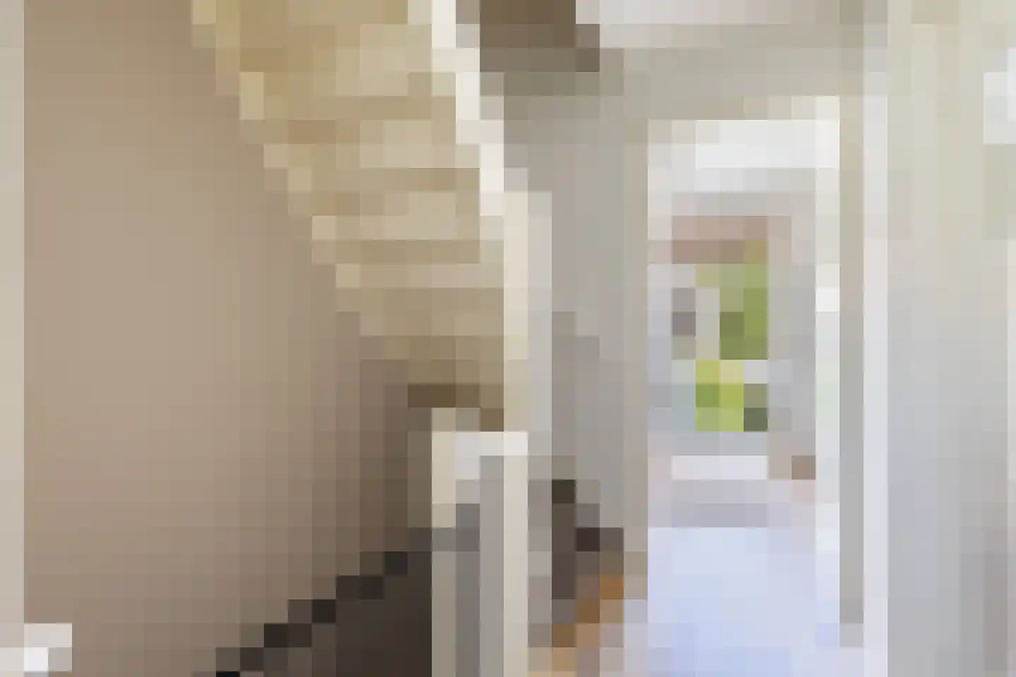 Eekhoornstraat 4 Hilversum thumbnail 19
