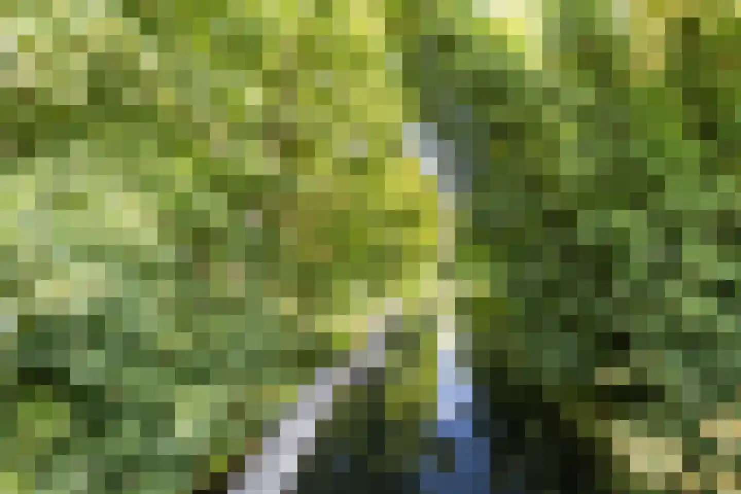 Eekhoornstraat 4 Hilversum thumbnail 33