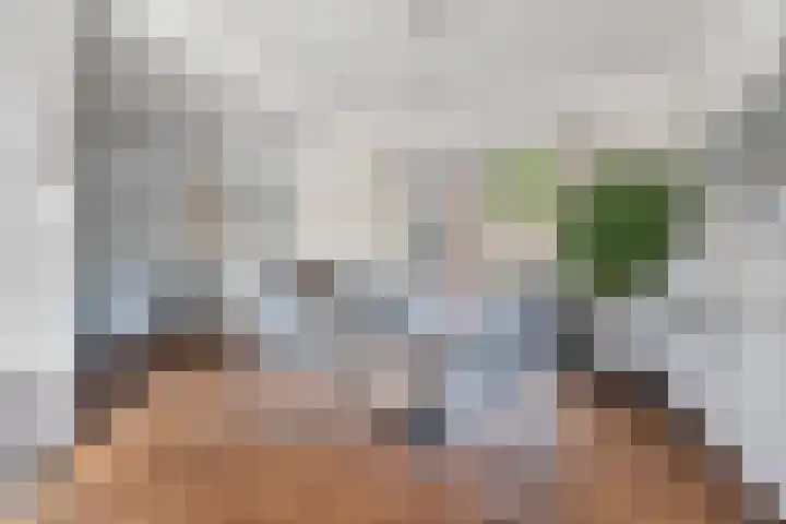 Eekhoornstraat 4 Nijmegen thumbnail 15
