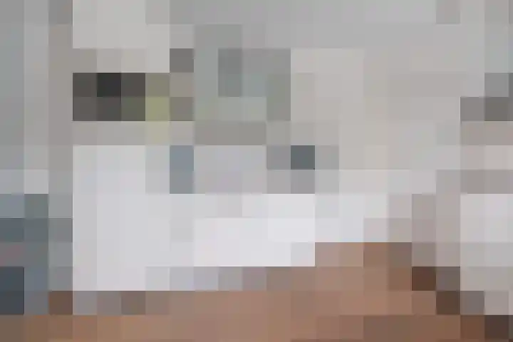 Eekhoornstraat 4 Nijmegen thumbnail 18
