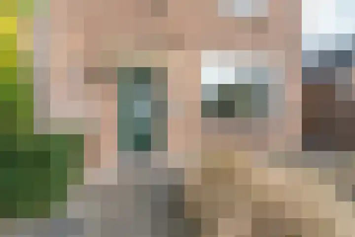 Eekhoornstraat 4 Nijmegen thumbnail 4