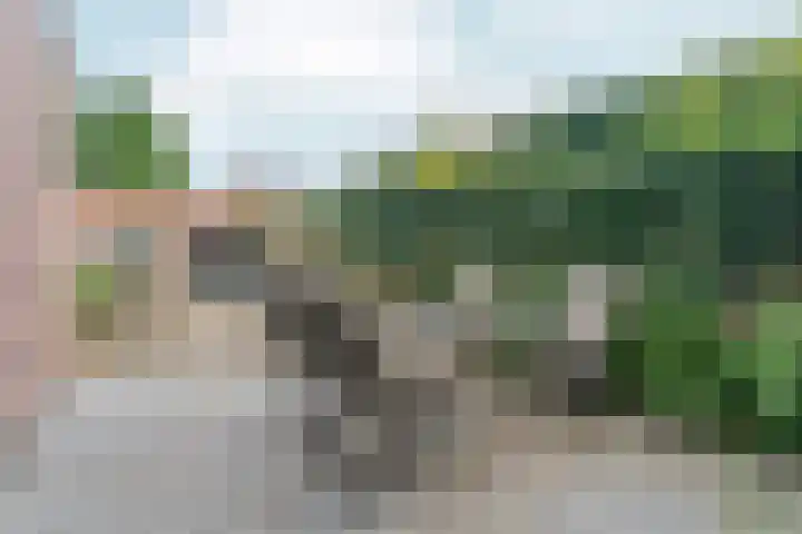 Eekhoornstraat 4 Nijmegen thumbnail 53