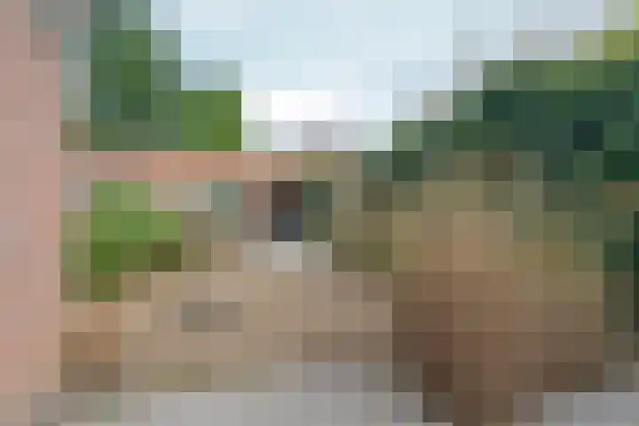 Eekhoornstraat 4 Nijmegen thumbnail 54