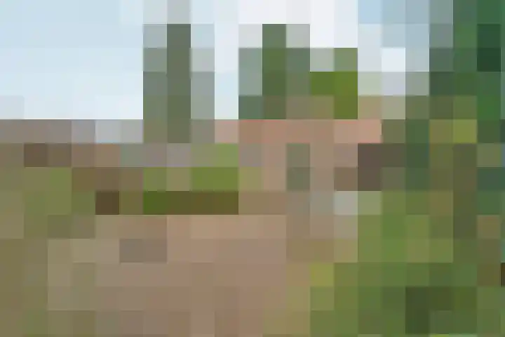 Eekhoornstraat 4 Nijmegen thumbnail 55