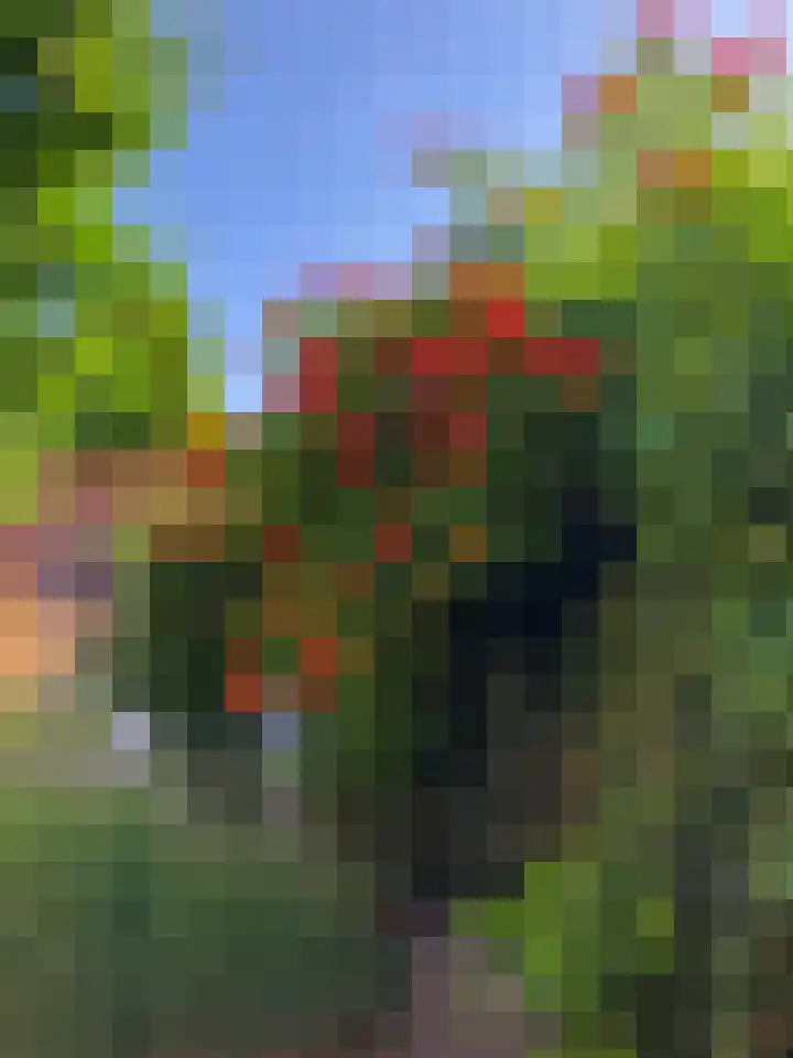 Eekhoornstraat 4 Nijmegen thumbnail 69