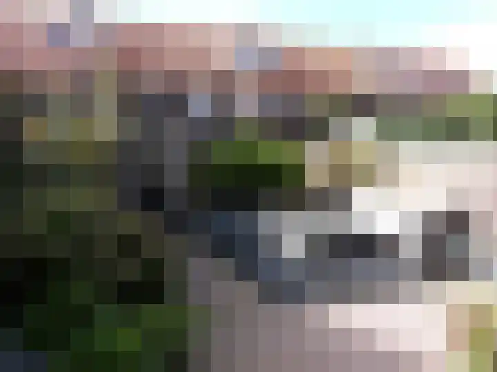 Eekhoornstraat 53 Hilversum thumbnail 16