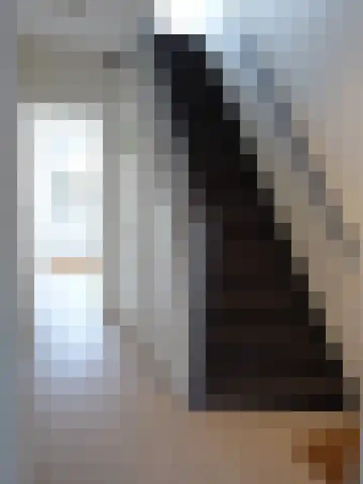 Eekhoornstraat 53 Hilversum thumbnail 5
