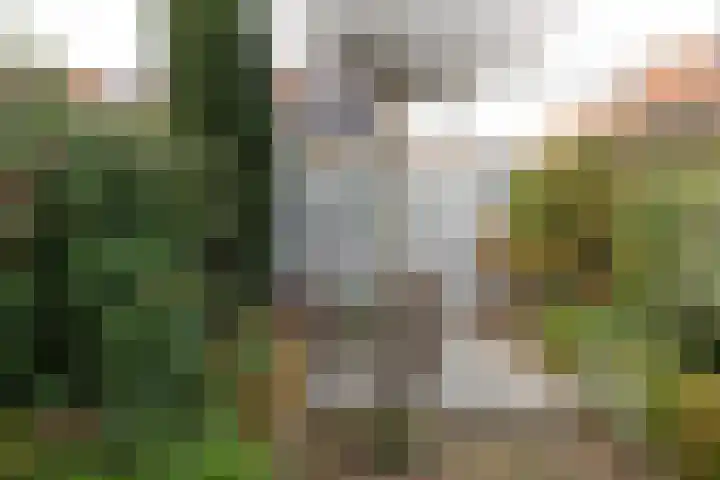 Eekhoornstraat 63 Hilversum thumbnail 33