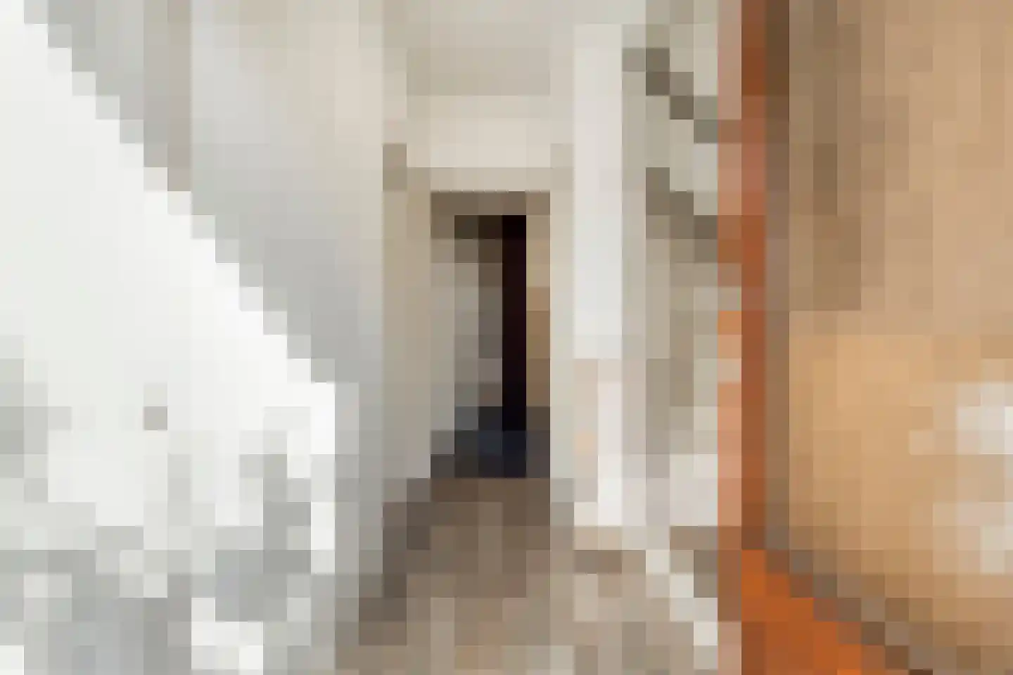 Eekhoornstraat 7 Valkenswaard thumbnail 10