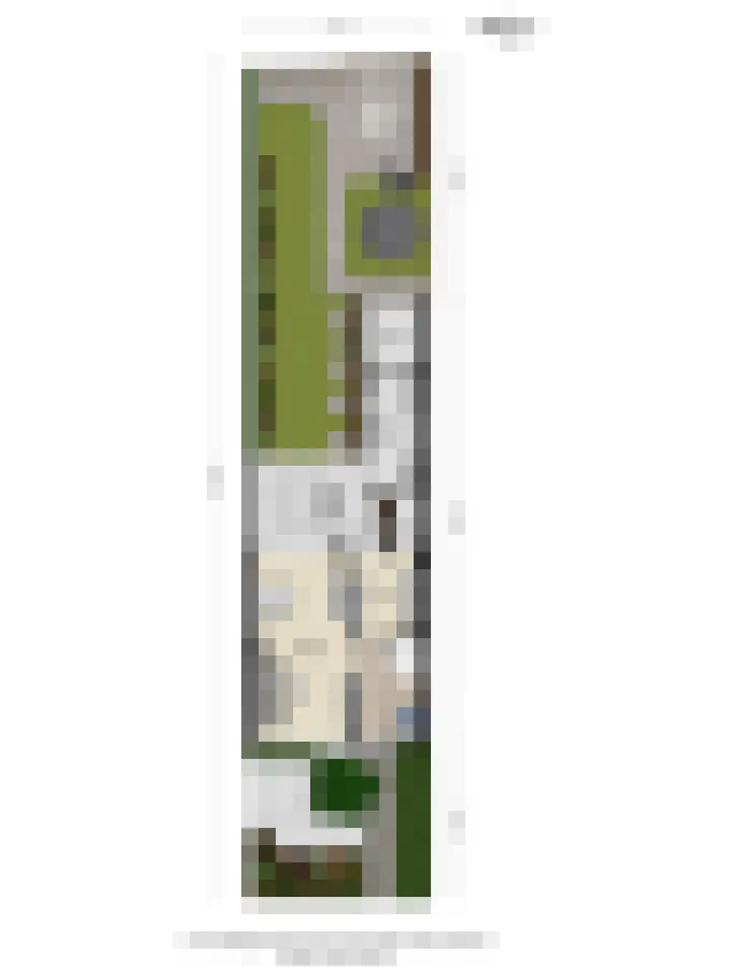 Eekhoornstraat 7 Valkenswaard thumbnail 39