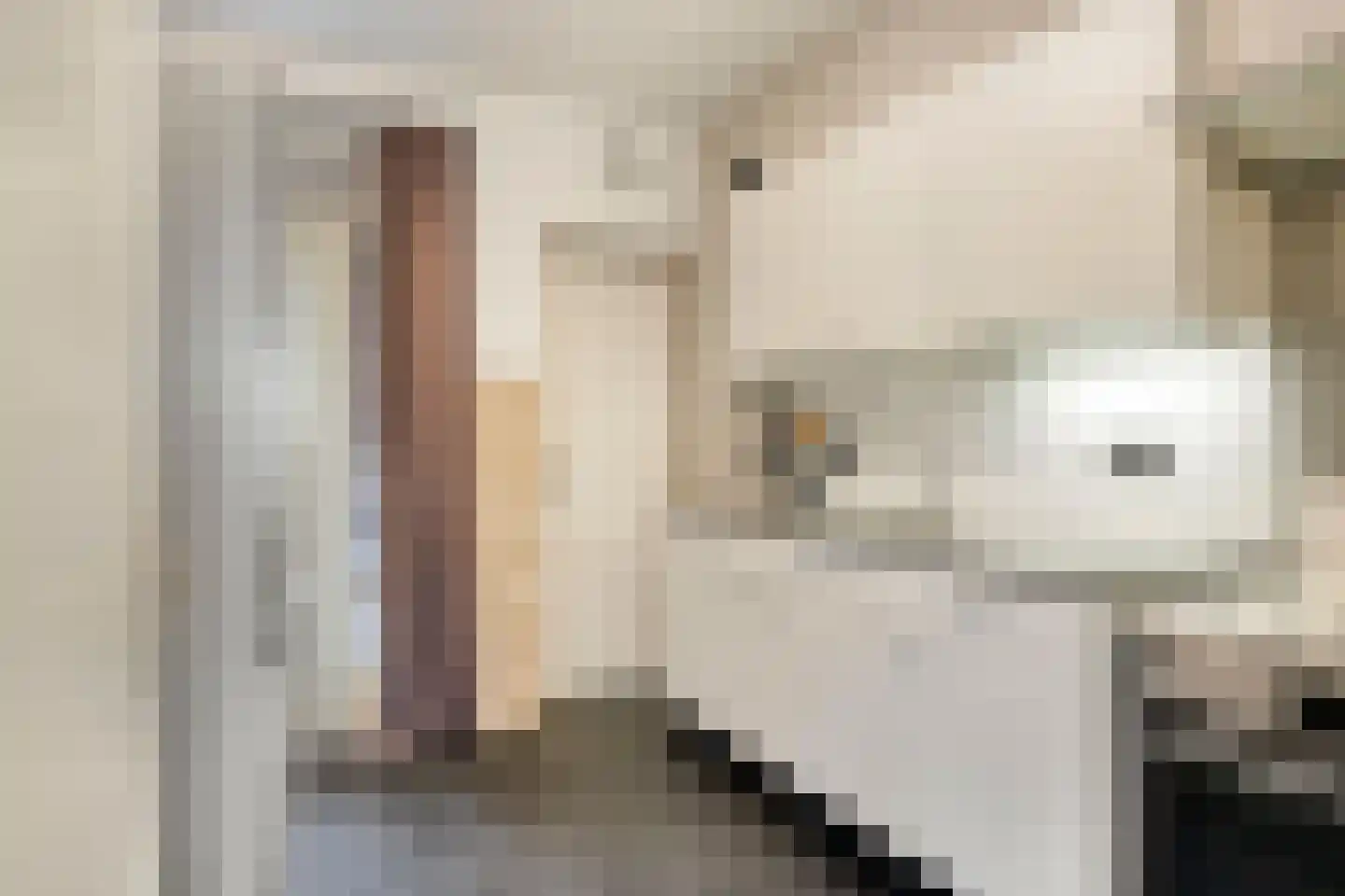 Eekhoornstraat 7 Valkenswaard thumbnail 4