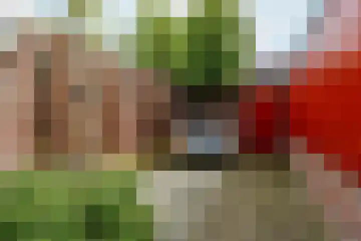 Eekhoornstraat 8 Arnhem thumbnail 30