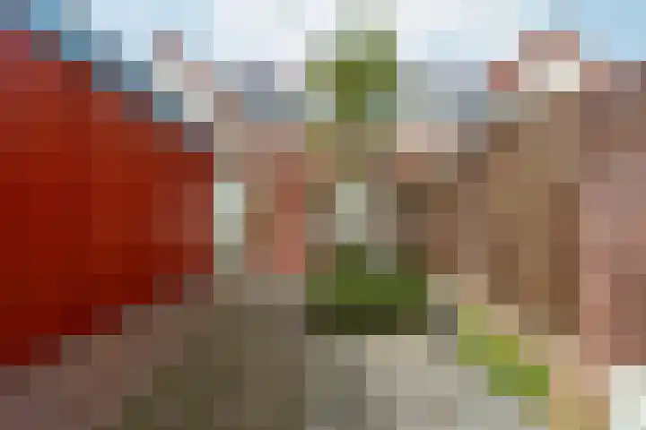Eekhoornstraat 8 Arnhem thumbnail 32