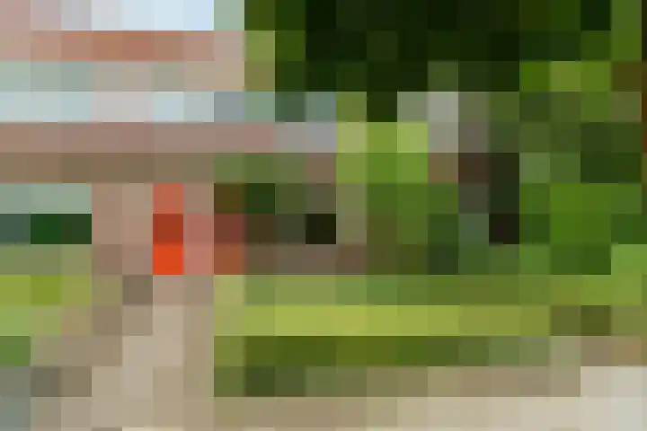 Eekhoornstraat 8 Arnhem thumbnail 34
