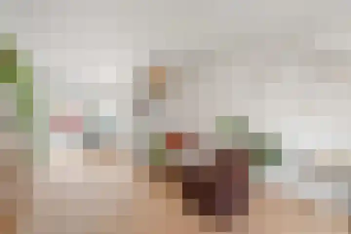 Eekhoornstraat 8 Arnhem thumbnail 6