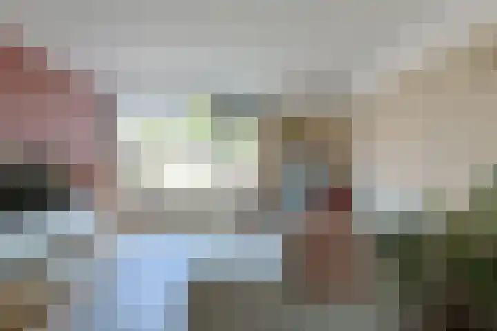 Eekhoorntjesbrood 33 Alphen aan den Rijn thumbnail 10