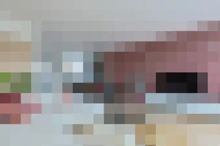 Eekhoorntjesbrood 33 Alphen aan den Rijn thumbnail 14