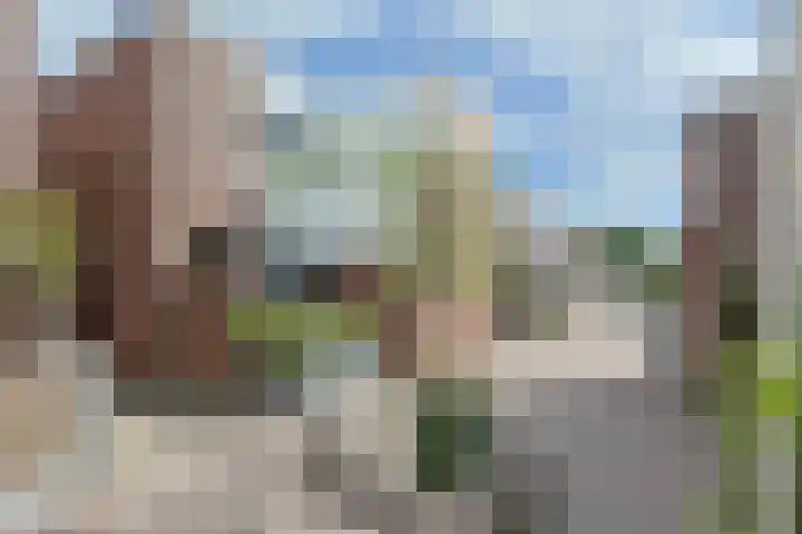 Eekhoorntjesbrood 33 Alphen aan den Rijn foto 2