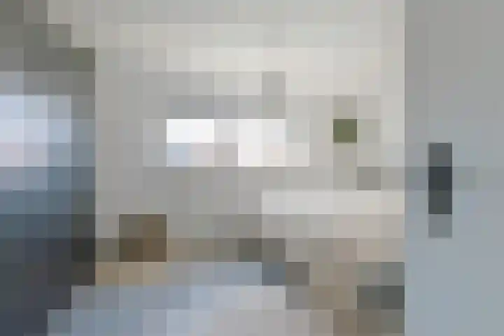 Eekhoorntjesbrood 33 Alphen aan den Rijn thumbnail 20