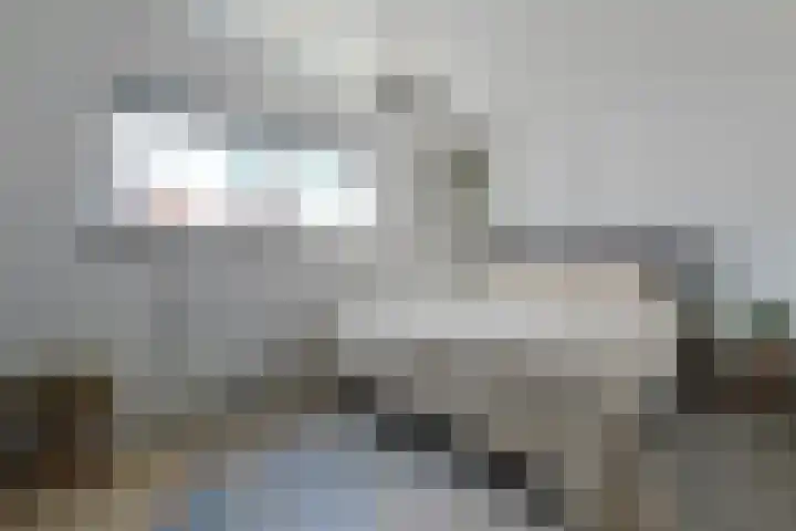 Eekhoorntjesbrood 33 Alphen aan den Rijn thumbnail 21