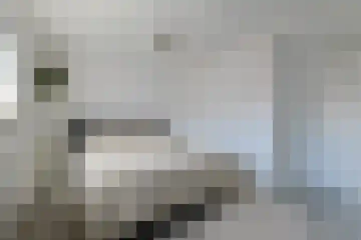 Eekhoorntjesbrood 33 Alphen aan den Rijn thumbnail 22