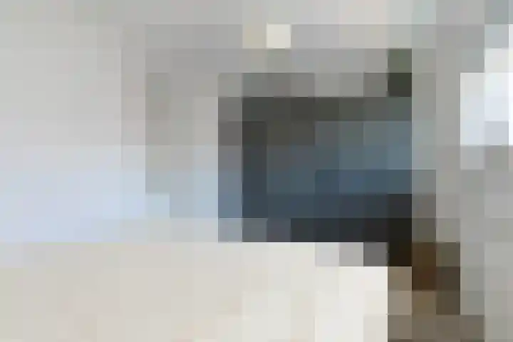 Eekhoorntjesbrood 33 Alphen aan den Rijn thumbnail 23