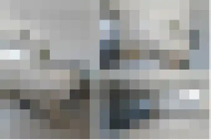 Eekhoorntjesbrood 33 Alphen aan den Rijn thumbnail 24