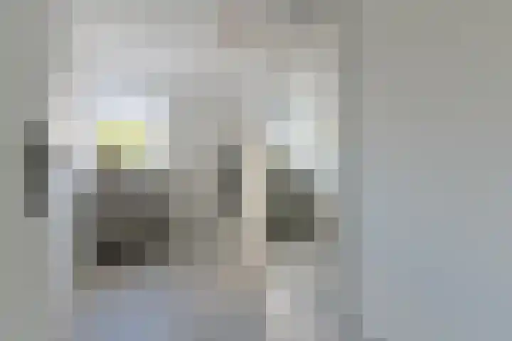Eekhoorntjesbrood 33 Alphen aan den Rijn thumbnail 25