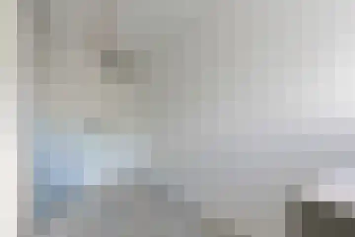Eekhoorntjesbrood 33 Alphen aan den Rijn thumbnail 27