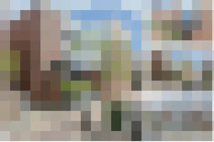 Eekhoorntjesbrood 33 Alphen aan den Rijn foto 3