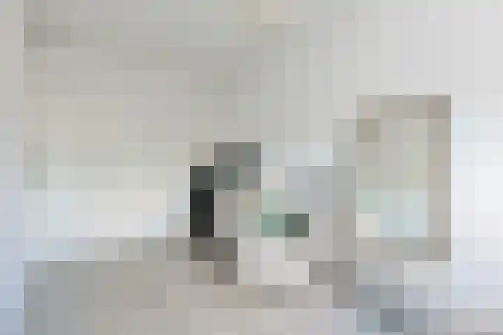 Eekhoorntjesbrood 33 Alphen aan den Rijn thumbnail 31