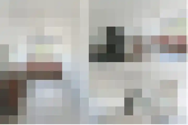 Eekhoorntjesbrood 33 Alphen aan den Rijn thumbnail 32