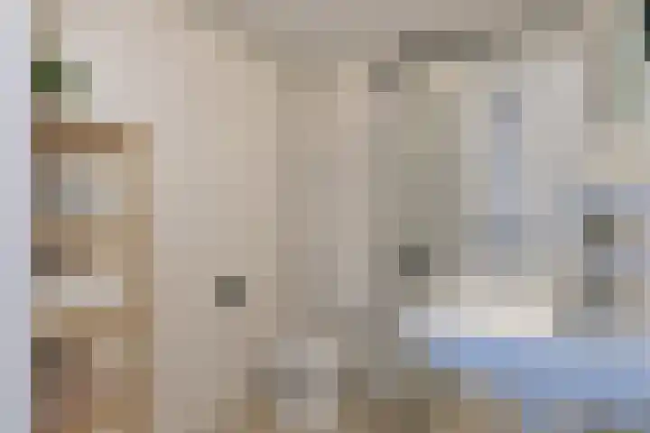 Eekhoorntjesbrood 33 Alphen aan den Rijn thumbnail 33