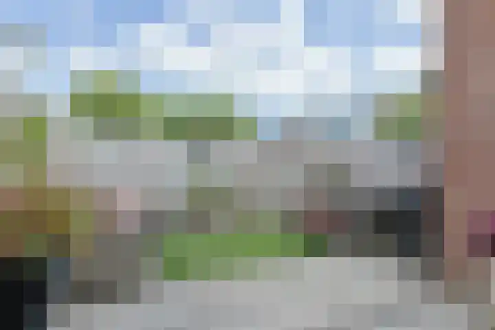Eekhoorntjesbrood 33 Alphen aan den Rijn thumbnail 38