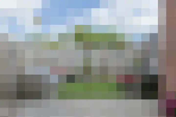Eekhoorntjesbrood 33 Alphen aan den Rijn thumbnail 39
