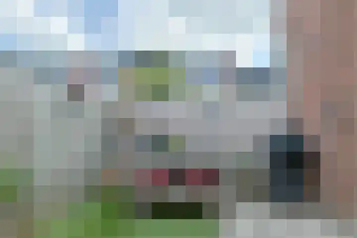 Eekhoorntjesbrood 33 Alphen aan den Rijn thumbnail 40