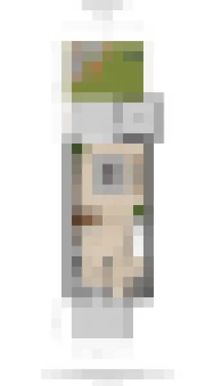 Eekhoorntjesbrood 33 Alphen aan den Rijn thumbnail 45