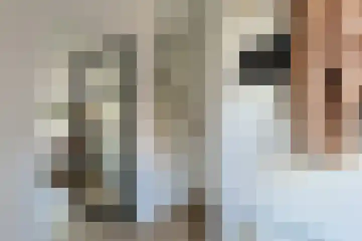 Eekhoorntjesbrood 33 Alphen aan den Rijn thumbnail 7