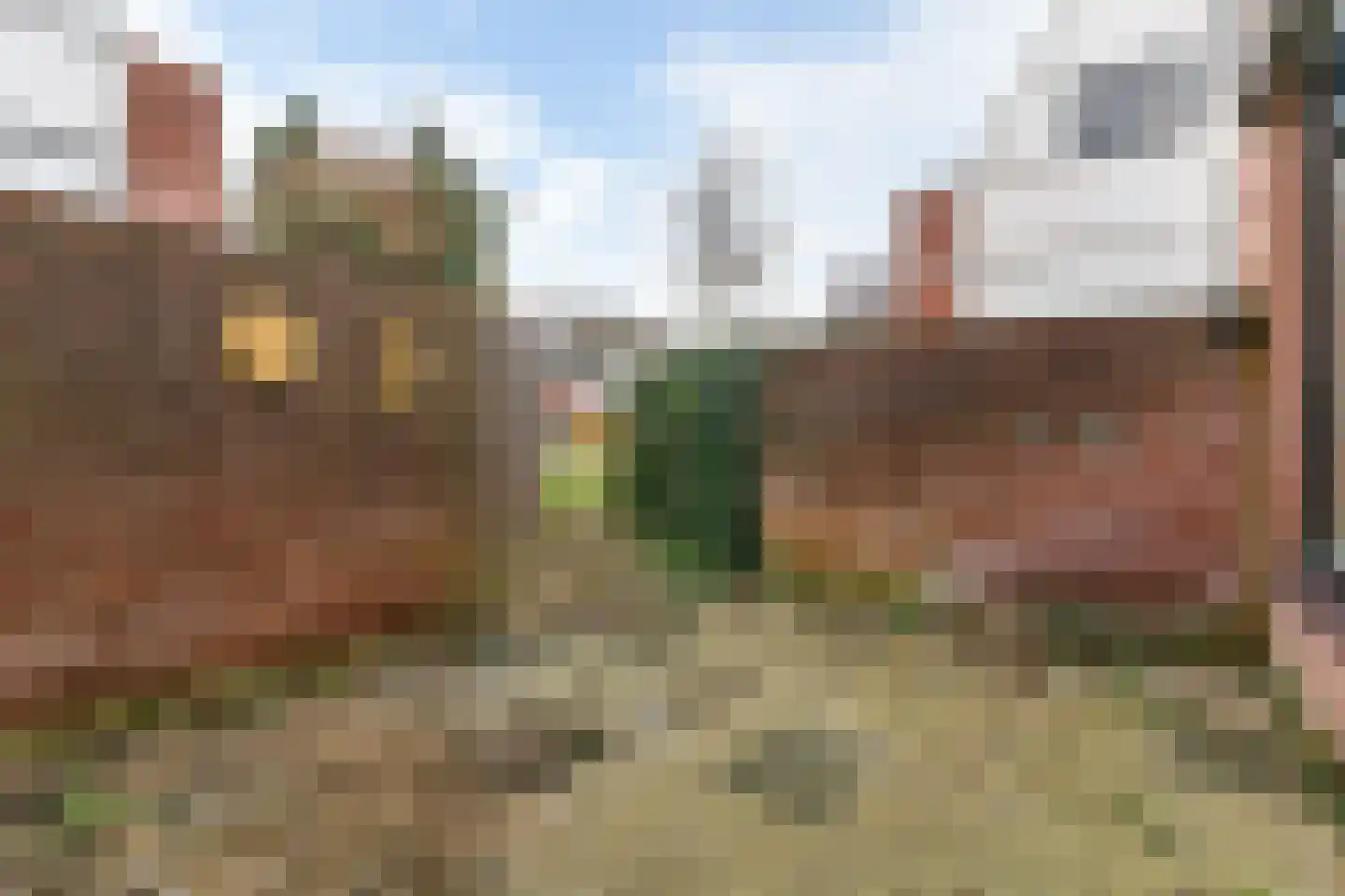 Eekhoorntjesbrood 40 Alphen aan den Rijn foto 3