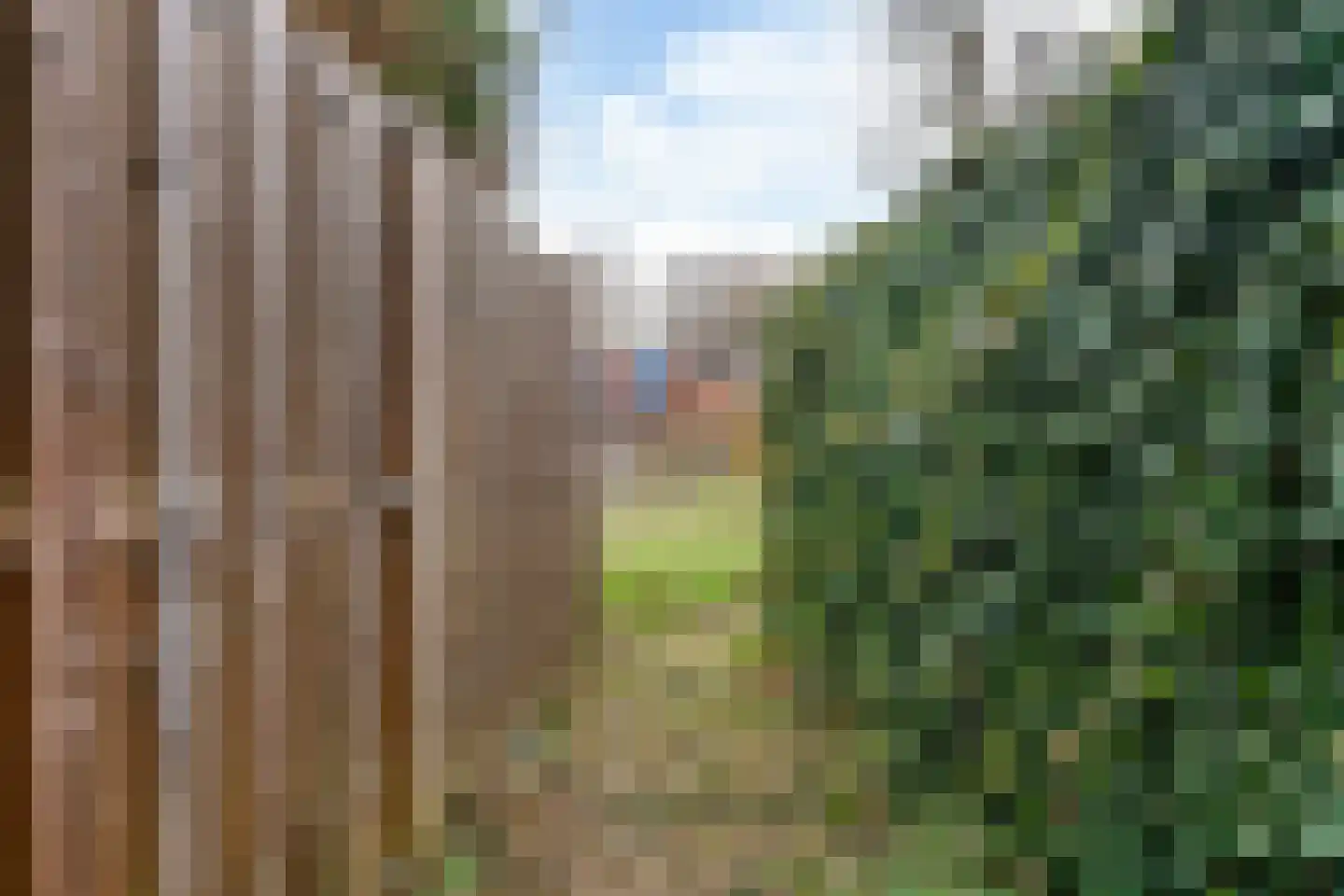 Eekhoorntjesbrood 40 Alphen aan den Rijn thumbnail 31