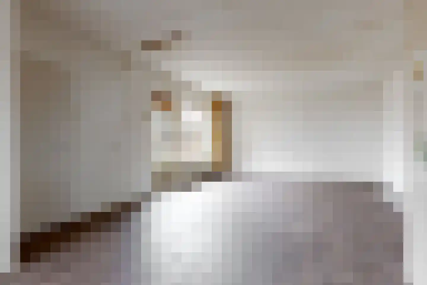 Eekhoorntjesbrood 40 Alphen aan den Rijn thumbnail 6