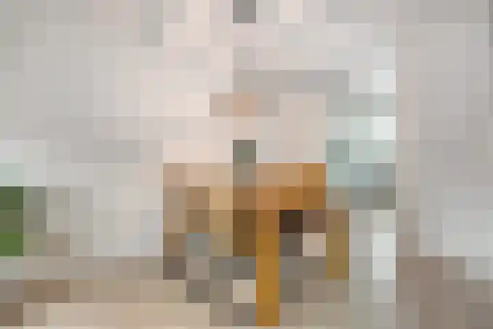 Eekhoornveld 38 Zwolle thumbnail 14