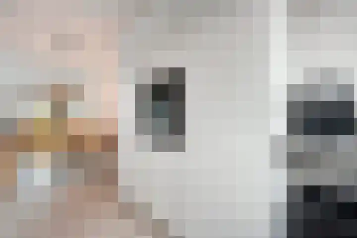Eekhoornveld 38 Zwolle thumbnail 18